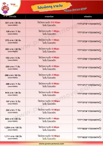 โปรเน็ต ทรู
